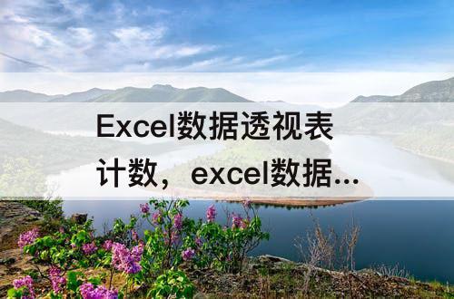 Excel数据透视表计数，excel数据透视表计数项怎么去重