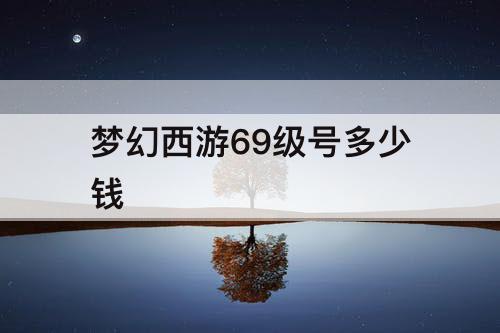 梦幻西游69级号多少钱