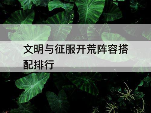 文明与征服开荒阵容搭配排行