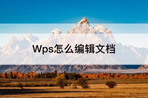 Wps怎么编辑文档