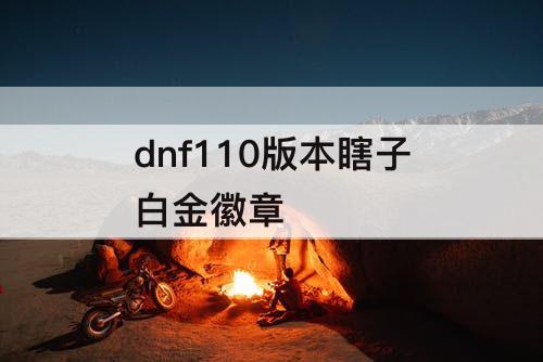 dnf110版本瞎子白金徽章