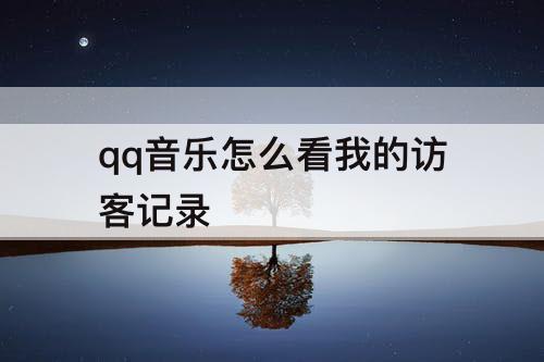 qq音乐怎么看我的访客记录
