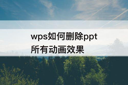 wps如何删除ppt所有动画效果