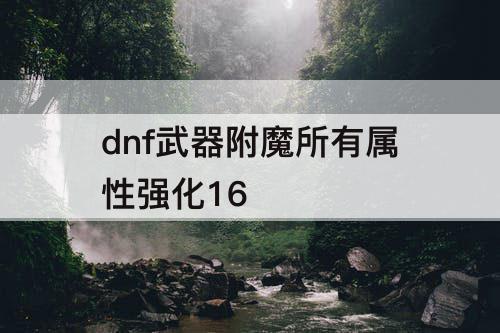dnf武器附魔所有属性强化16