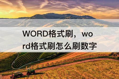 WORD格式刷，word格式刷怎么刷数字