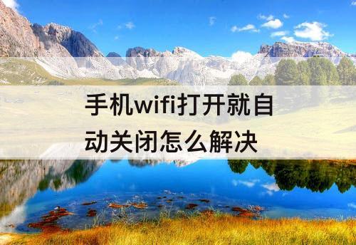 手机wifi打开就自动关闭怎么解决