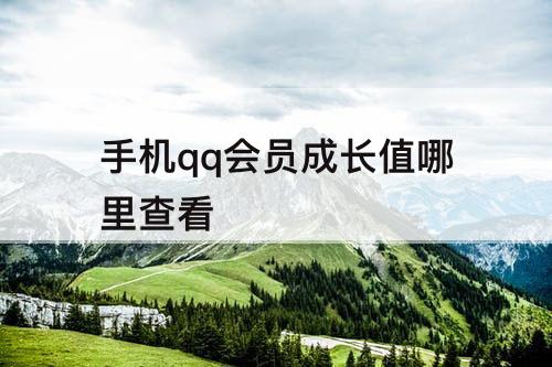 手机qq会员成长值哪里查看