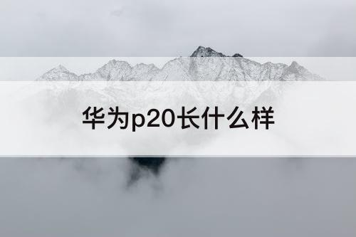 华为p20长什么样