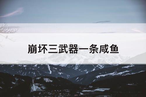 崩坏三武器一条咸鱼