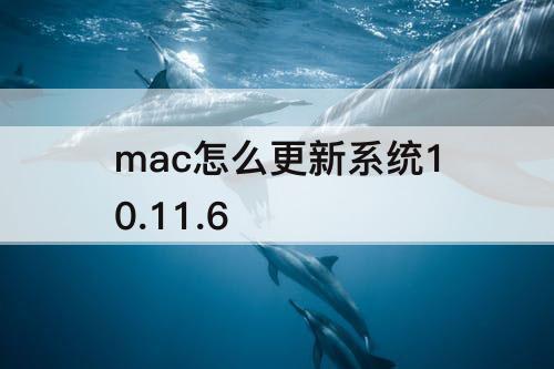 mac怎么更新系统10.11.6