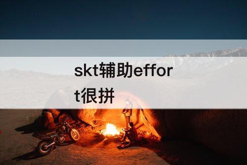 skt辅助effort很拼