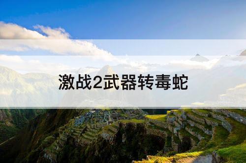 激战2武器转毒蛇