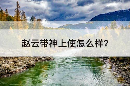 赵云带神上使怎么样?
