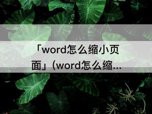「word怎么缩小页面」(word怎么缩小页面大小)