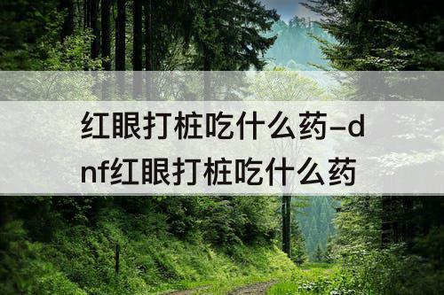 红眼打桩吃什么药-dnf红眼打桩吃什么药