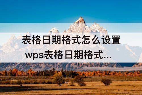 表格日期格式怎么设置 wps表格日期格式怎么设置斜杠