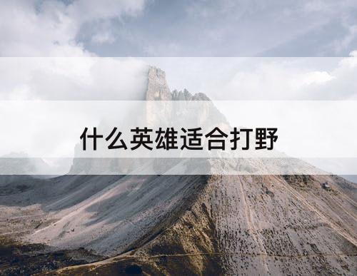 什么英雄适合打野