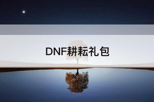 DNF耕耘礼包