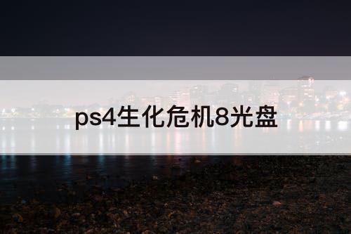 ps4生化危机8光盘