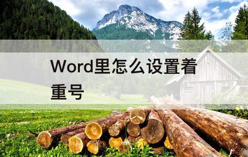 Word里怎么设置着重号