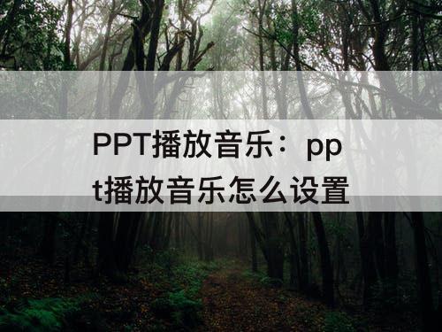 PPT播放音乐：ppt播放音乐怎么设置
