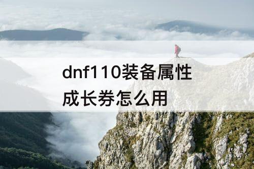 dnf110装备属性成长券怎么用