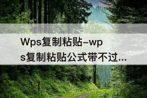 Wps复制粘贴-wps复制粘贴公式带不过来
