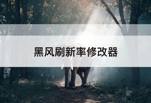 黑风刷新率修改器