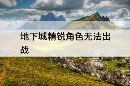 地下城精锐角色无法出战