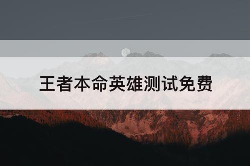王者本命英雄测试免费