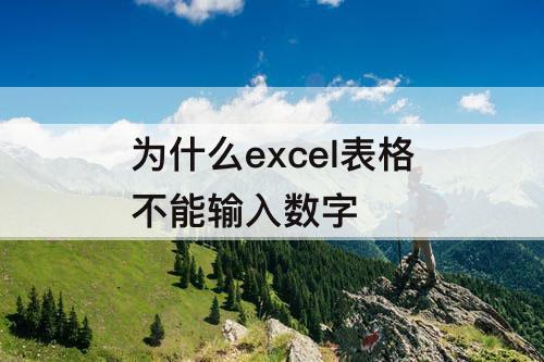 为什么excel表格不能输入数字