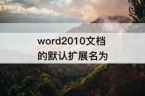 word2010文档的默认扩展名为
