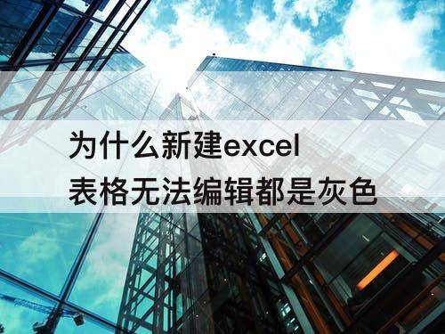 为什么新建excel表格无法编辑都是灰色