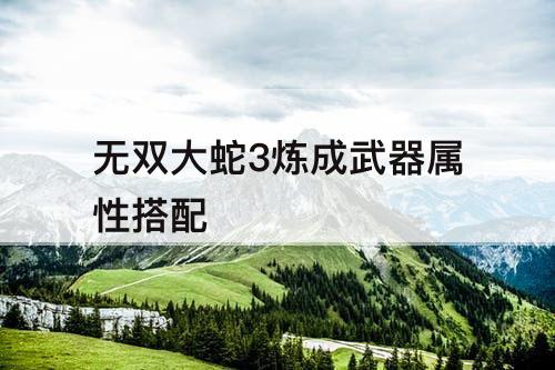 无双大蛇3炼成武器属性搭配