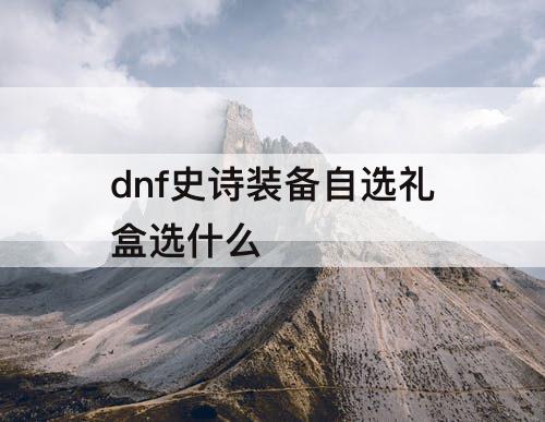 dnf史诗装备自选礼盒选什么
