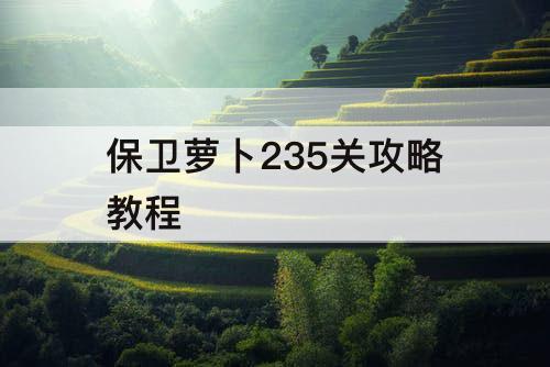保卫萝卜235关攻略教程
