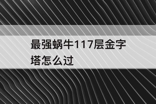 最强蜗牛117层金字塔怎么过