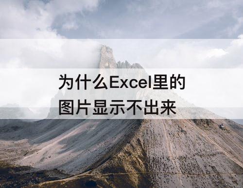 为什么Excel里的图片显示不出来