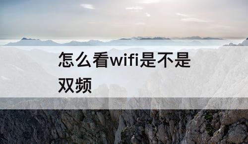 怎么看wifi是不是双频