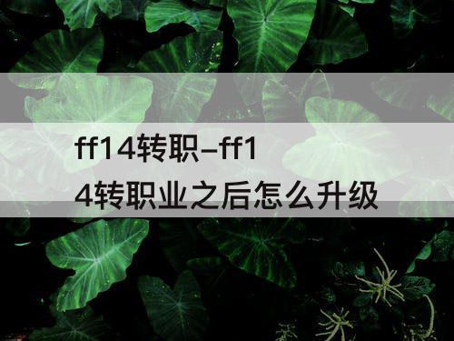 ff14转职-ff14转职业之后怎么升级