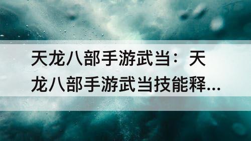 天龙八部手游武当：天龙八部手游武当技能释放顺序