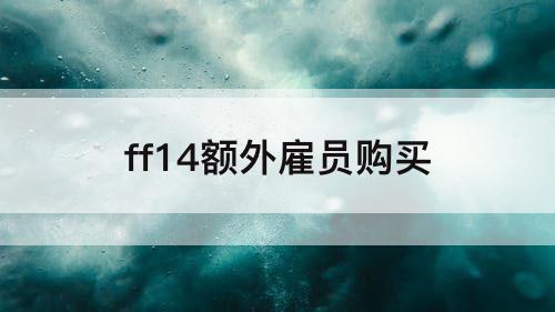 ff14额外雇员购买