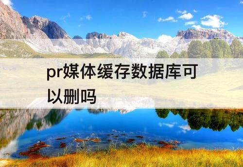 pr媒体缓存数据库可以删吗
