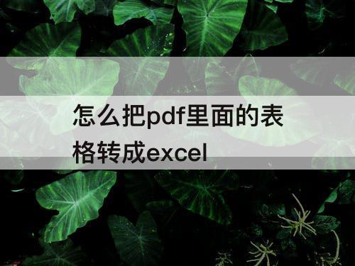 怎么把pdf里面的表格转成excel