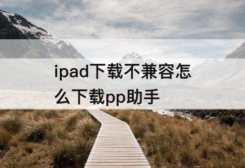 ipad下载不兼容怎么下载pp助手