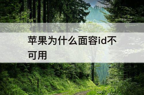苹果为什么面容id不可用
