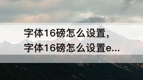 字体16磅怎么设置，字体16磅怎么设置excel
