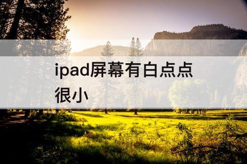 ipad屏幕有白点点很小