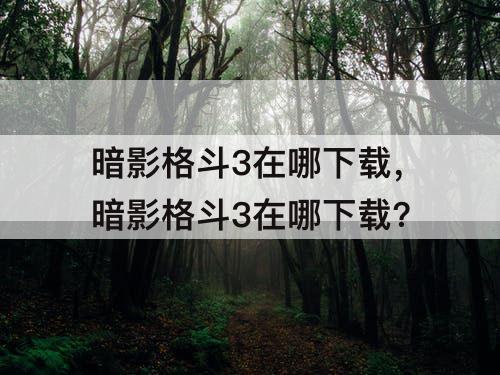 暗影格斗3在哪下载，暗影格斗3在哪下载?