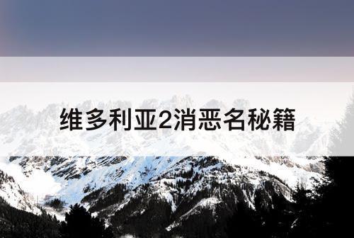 维多利亚2消恶名秘籍